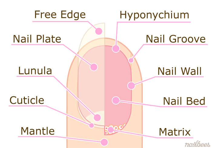 Nail label on sale