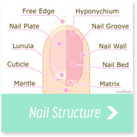 Nail Structure Link